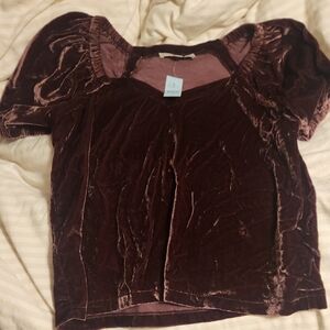 LOFT Velvet Puff Sleeve Blouse - Rich Burgundy